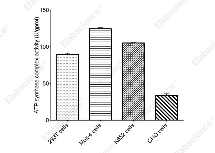Cell Mitochondrial Complex Ⅴ (F₀F₁-ATPase/ATP Synthase) Activity Assay Kit - 1
