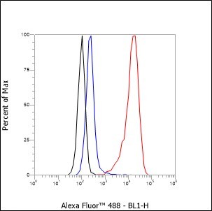 Recombinant CD79b Monoclonal Antibody - small - 6