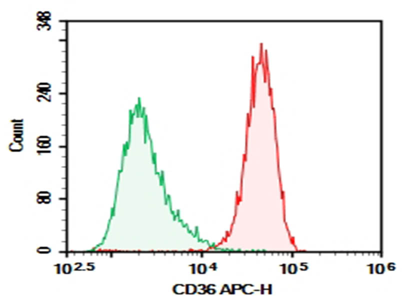 Purified Anti-Mouse CD36 Antibody[HM36]-searchlist-1