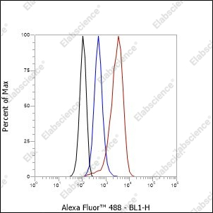 Recombinant PITX2/RGS Monoclonal Antibody - 2