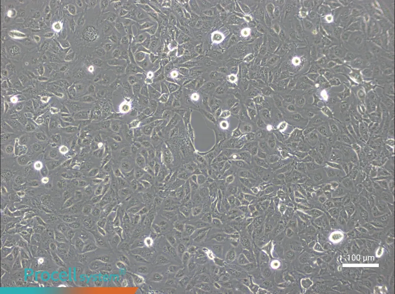 MarcusMarcus - 3