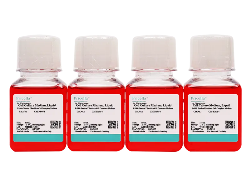 Rabbit Tendon Fibroblast Cell Complete Medium - small - 2