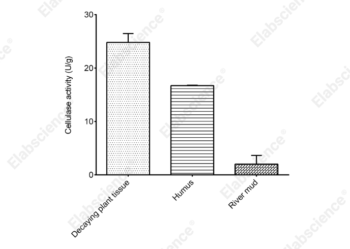 Cellulase (CL) Activity Colorimetric Assay Kit - 2