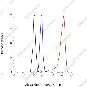 Recombinant CD20 Monoclonal Antibody - 5