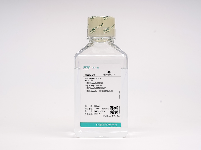 https://789.bio/ec/9CC8t1