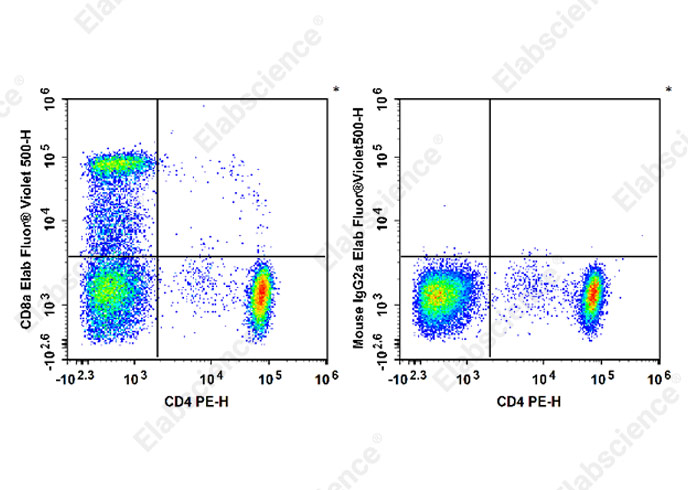 Purified Anti-Human CD56 Antibody[HCD56]-产品推荐-1