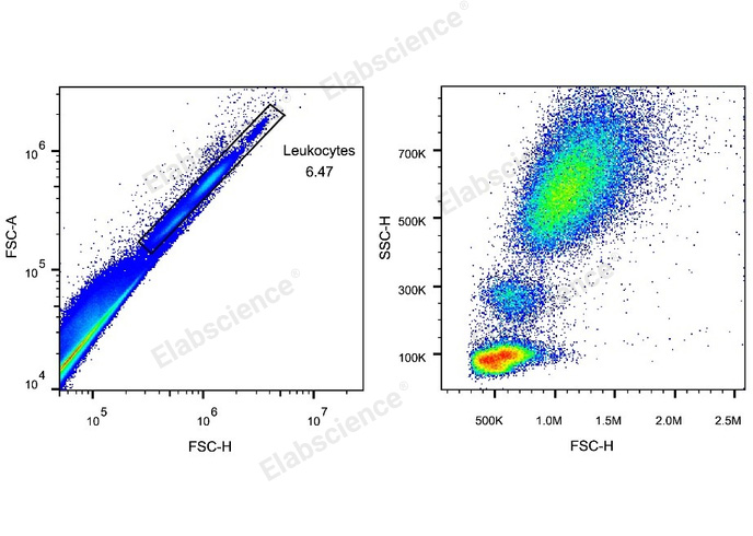 10× RBC Lysis/Fixation Solution-1