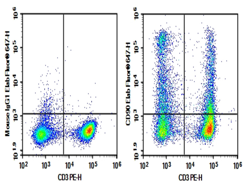 AF/LE Purified Anti-Rat CD90 Antibody[OX-7]-1