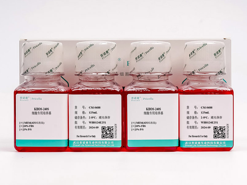 https://789.bio/ec/9GKK8R