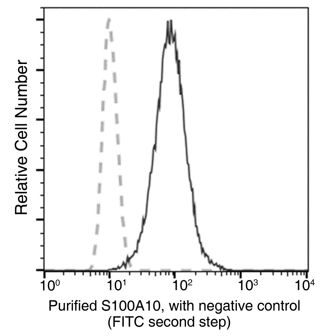 S100A10 Monoclonal Antibody - small - 1