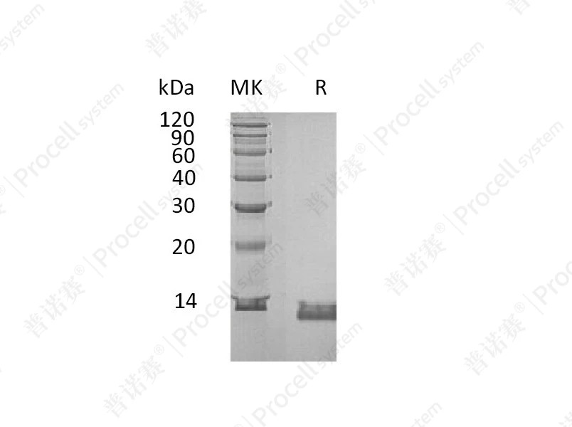 https://789.bio/ec/9Gp140