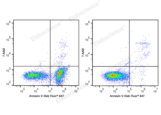 Annexin V-Elab Fluor® 647/7-AAD Apoptosis Kit-1