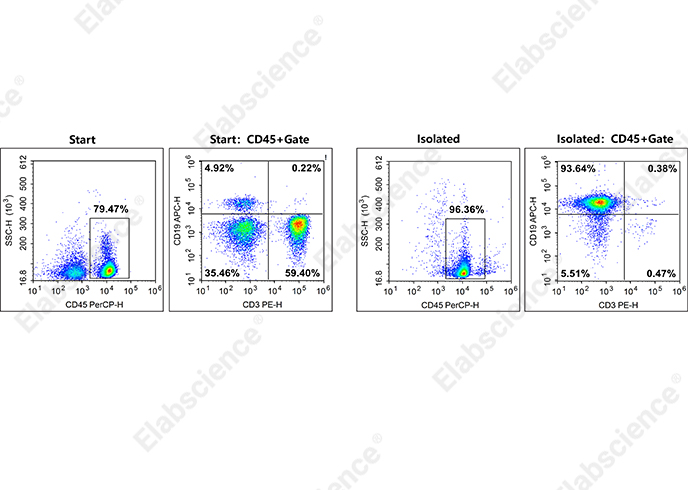 EasySort™ Human B Cell Isolation Kit-searchlist-2