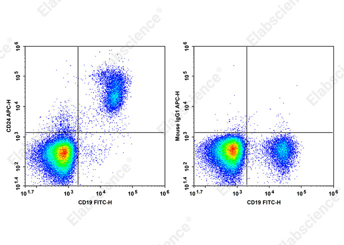 APC Anti-Human CD24 Antibody[HIQB24]-1