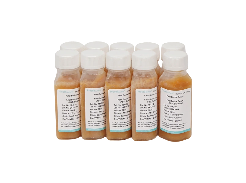 Fetal Bovine Serum - 4