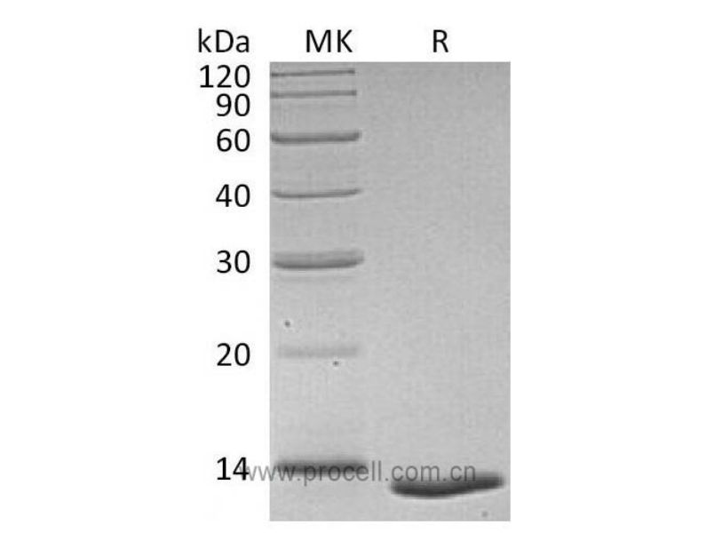 https://789.bio/ec/9KGd9G