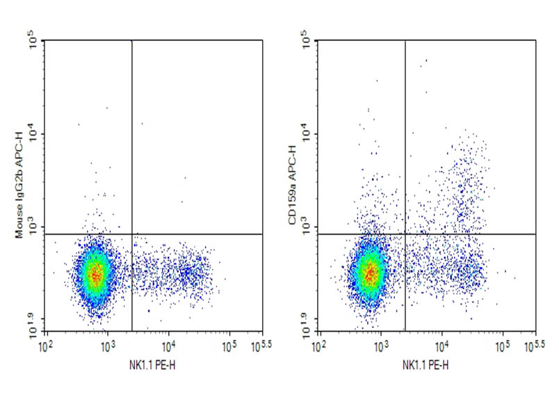 Purified Anti-Mouse CD159a Antibody[16A11], Functional Grade - 1