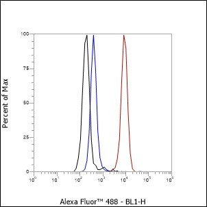 Recombinant CD169 Monoclonal Antibody - small - 4