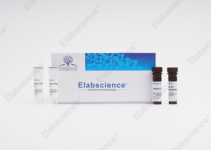 Caspase 3/7 and Annexin V Double Staining Apoptosis Kit