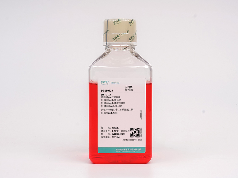 https://789.bio/ec/9OVq5G
