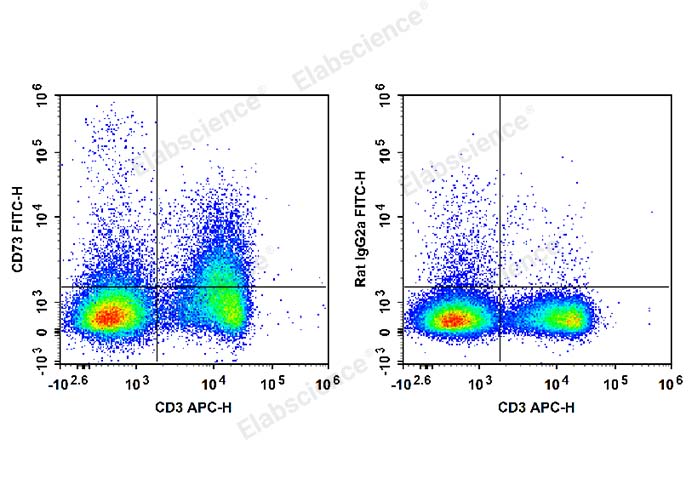 FITC Anti-Mouse CD73 Antibody[TY/23]-1