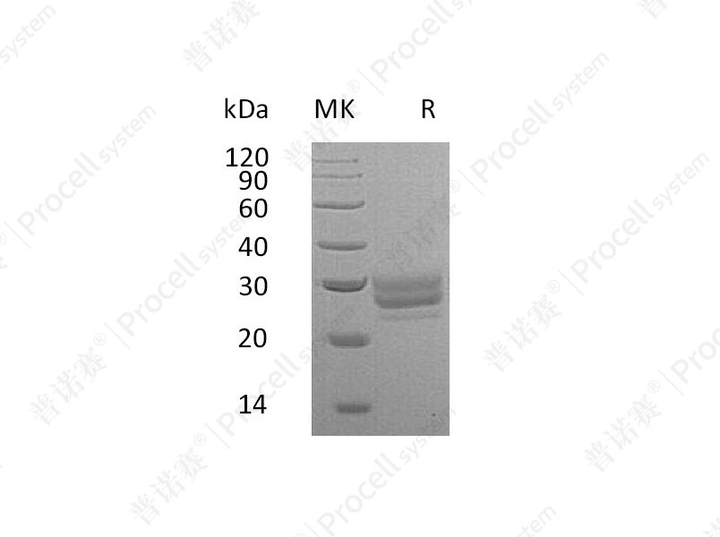 https://789.bio/ec/9OxLxL