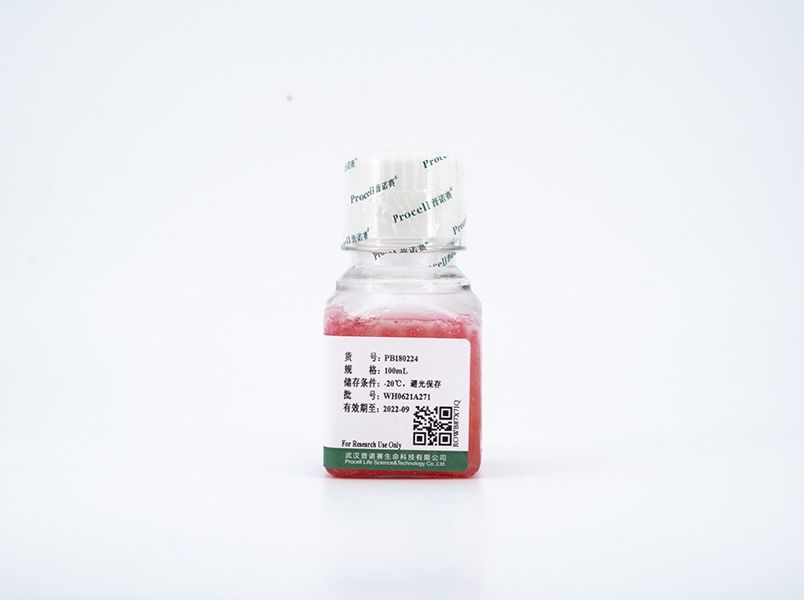 https://789.bio/ec/9Rhaq5