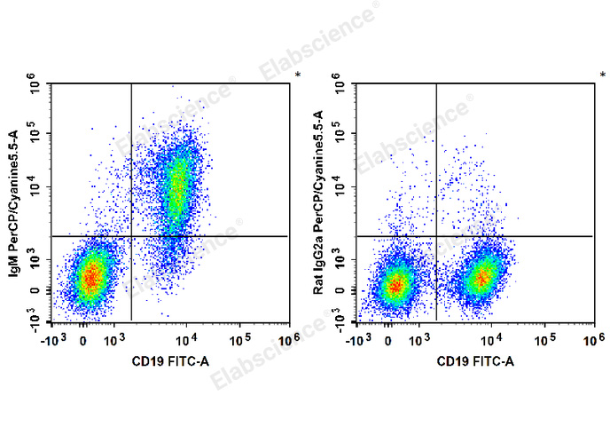 C57BL/6 murine splenocytes are stained with FITC Anti-Mouse CD19 Antibody and PerCP/Cyanine5.5 Anti-Mouse IgM Antibody (Left). Splenocytes are stained with FITC Anti-Mouse CD19 Antibody and PerCP/Cy5.5 Rat IgG2a, κ Isotype Control (Right).