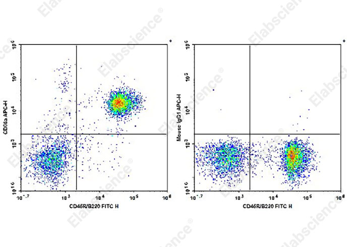 APC Anti-Mouse CD66A Antibody[Mab-CC1]-1