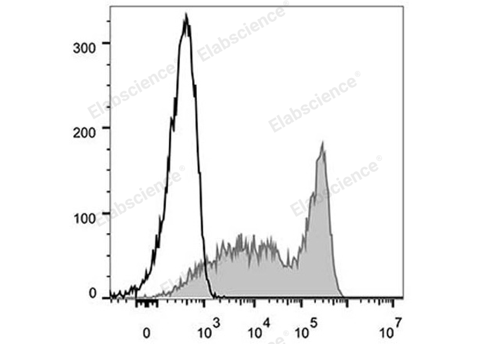 FITC Anti-Mouse CD90.2/Thy1.2 Antibody[30H12]-1