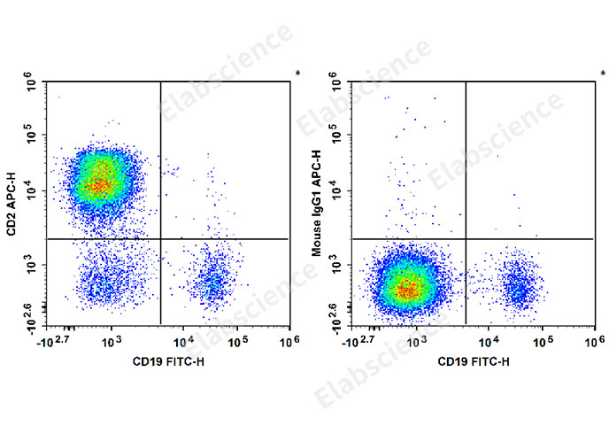 APC Anti-Human CD2 Antibody[RPA-2.10]-1