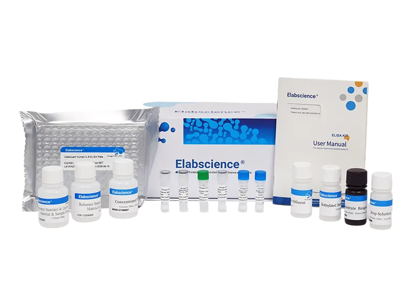 CellaQuant™ Human IL-4 (Interleukin 4) ELISA Kit - 5
