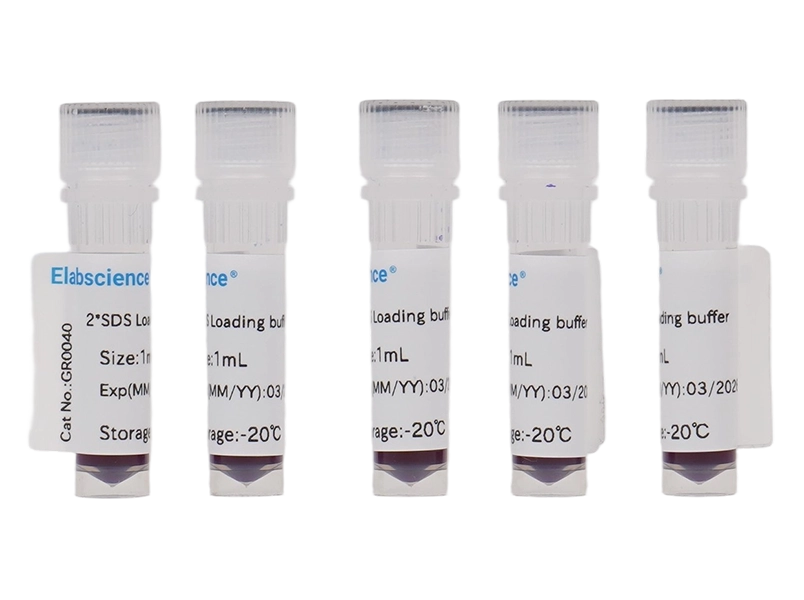 2× SDS Loading Buffer