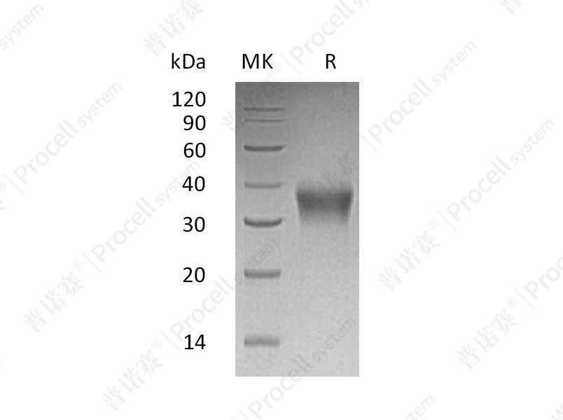 https://789.bio/ec/9hP0G4