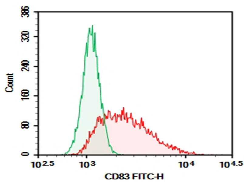 Purified Anti-Human CD83 Antibody[HB15e]-1