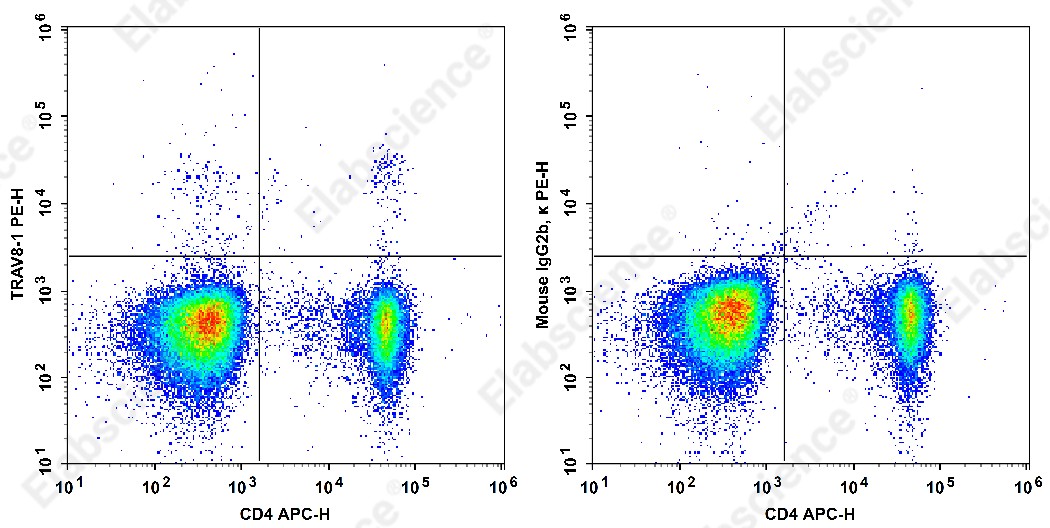 PE Anti-Human TCRβV 8.1 Antibody[16G8] - 1