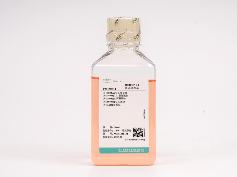 https://789.bio/ec/9pLOZ5