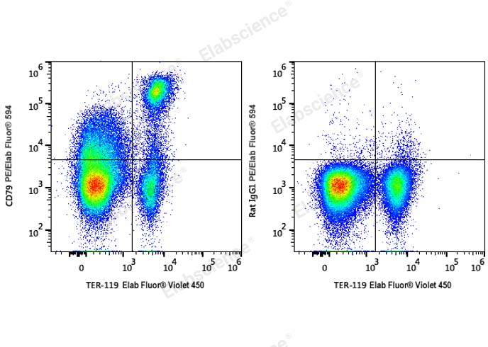 C57BL/6 murine bone marrow cells are stained with Elab Fluor® Violet 450 Anti-Mouse TER-119 Antibody and PE/Elab Fluor® 594 Anti-Mouse CD71 Antibody (Left). Bone marrow cells stained with Elab Fluor® Violet 450 Anti-Mouse TER-119 Antibody and PE/Elab Fluor® 594 Rat IgG2a, κ Isotype Control (Right) are used as control.