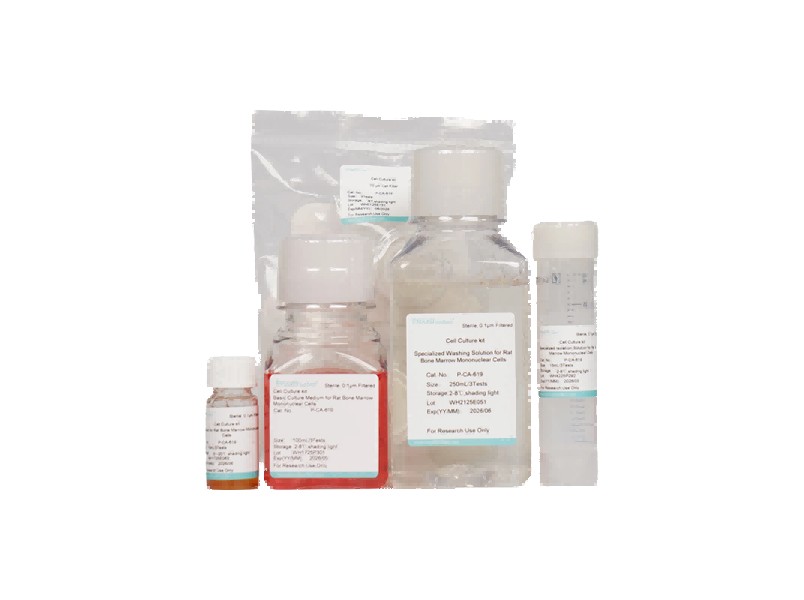 Rat Bone Marrow Mononuclear Cell Isolation and Culture Kit