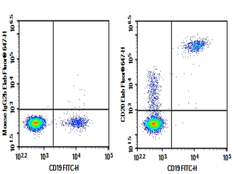 AF/LE Purified Anti-Human CD20 Antibody[2H7]-1