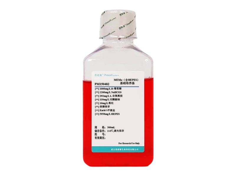 https://789.bio/ec/9x84dr8p