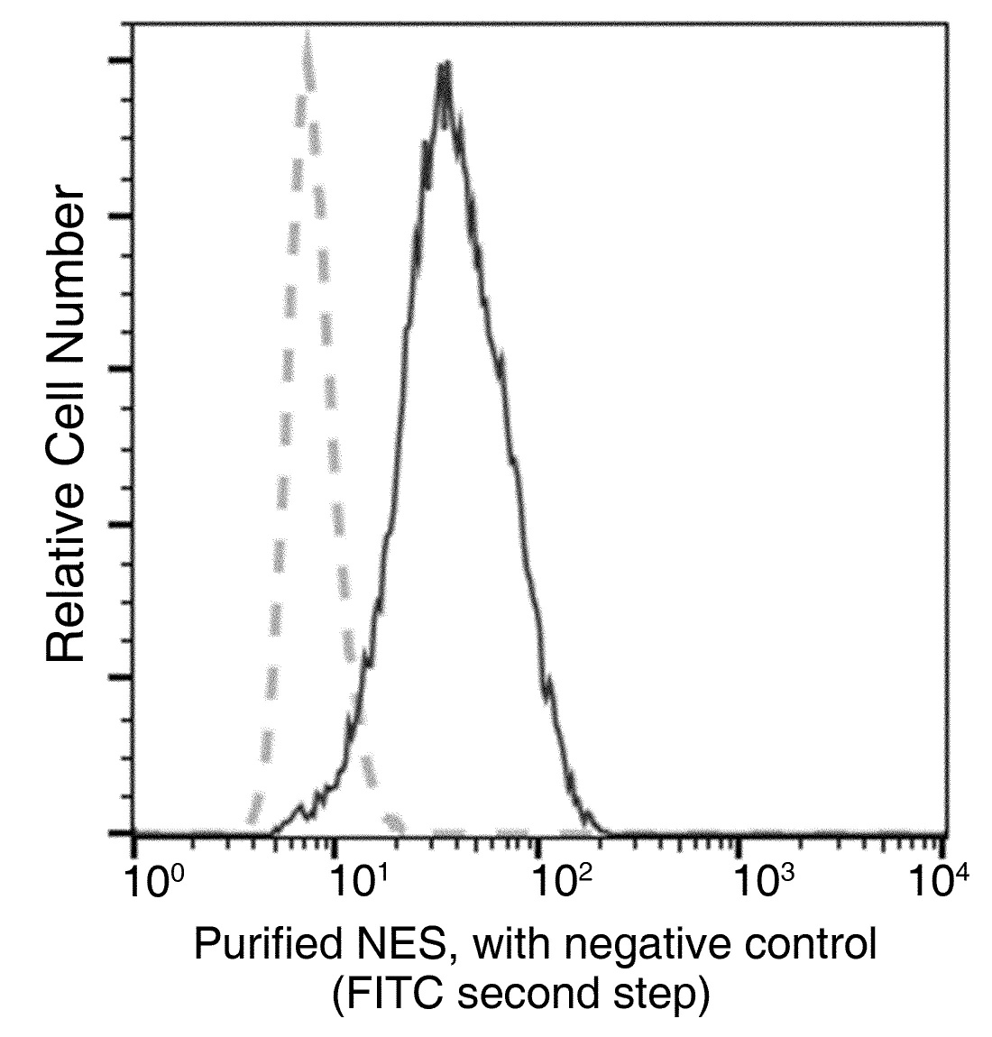 Nestin/NES Monoclonal Antibody - small - 4