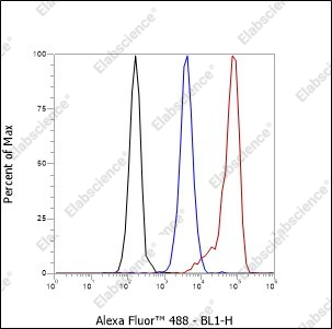 Recombinant Calpain small subunit 1 Monoclonal Antibody - 3