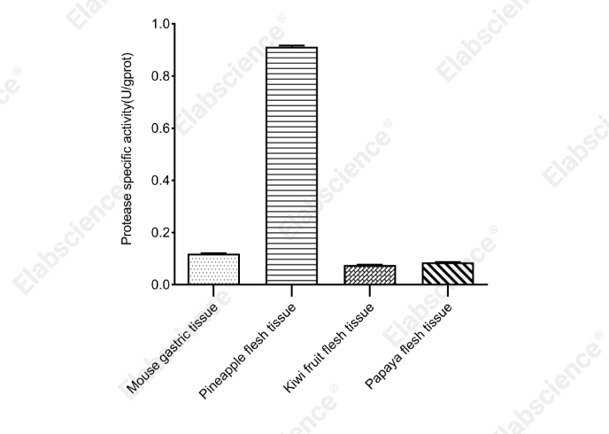 Protease Activity Colorimetric Assay Kit - 2
