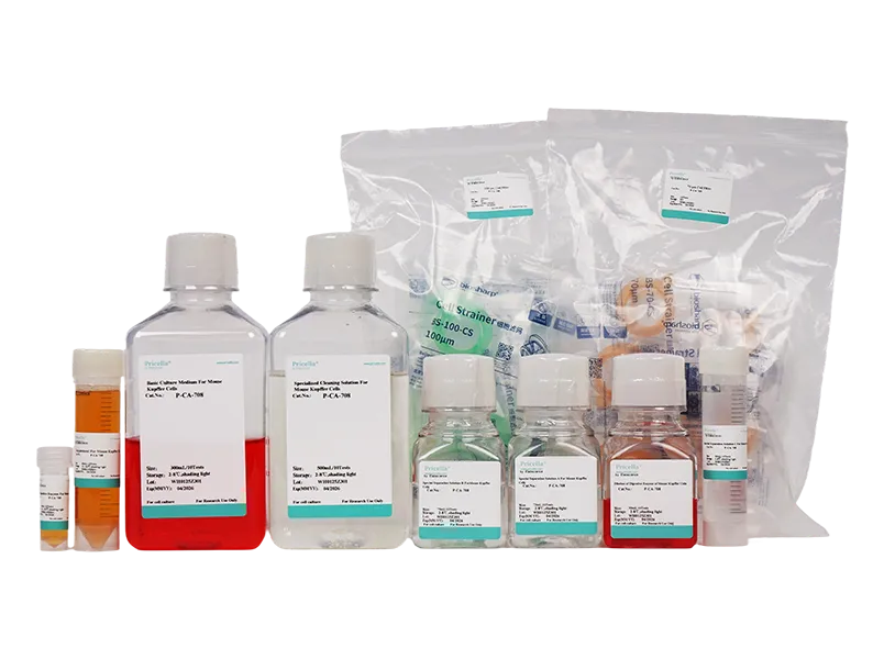 Mouse Kupffer Cells Isolation and Culture Kit - small - 3