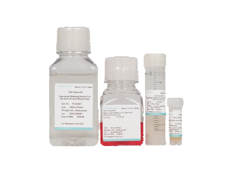 Rat Aortic Smooth Muscle Cell Isolation and Culture Kit