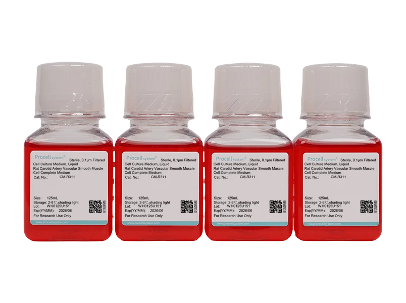 Rat Carotid Artery Vascular Smooth Muscle Cell Complete MediumRat Carotid Artery Vascular Smooth Muscle Cell Complete Medium - 2