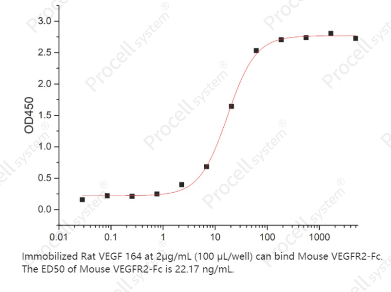 VEGF/VEGF-A, Rat, RecombinantVEGF/VEGF-A, Rat, Recombinant - 2