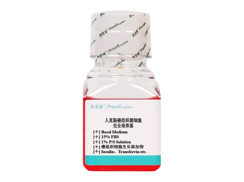 https://789.bio/ec/ASt4I038