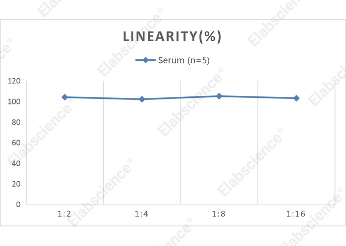 CellaQuant™ Human IL-5 (Interleukin 5) ELISA Kit - 2